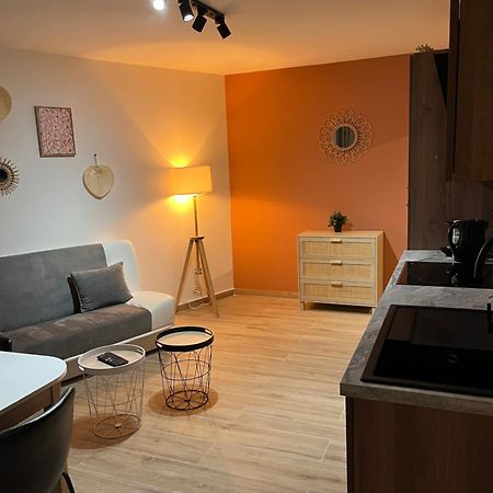 Joli Appart/Vue Etang/Clim /Wifi Balaruc-les-Bains Exterior photo