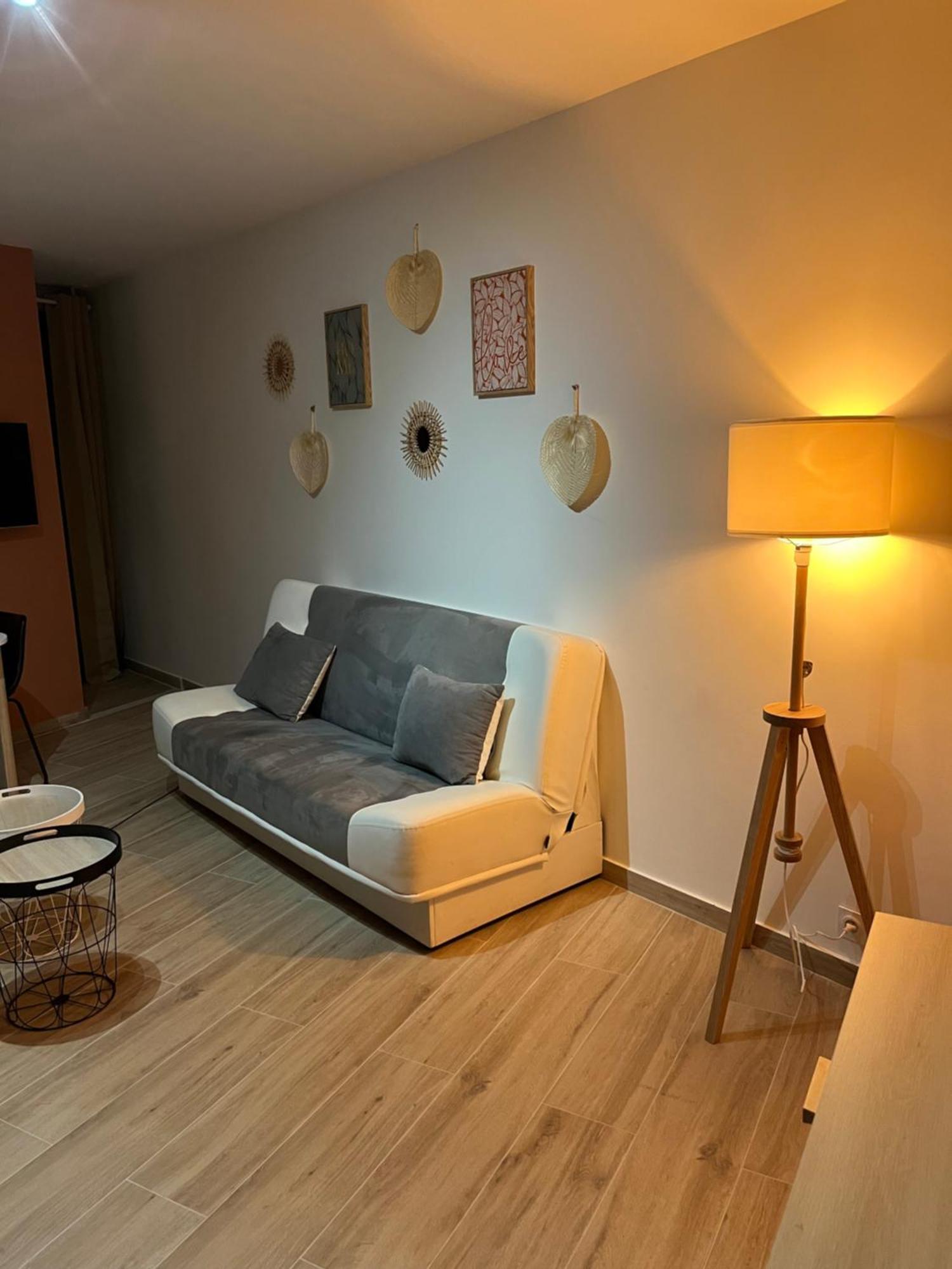 Joli Appart/Vue Etang/Clim /Wifi Balaruc-les-Bains Exterior photo
